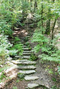 401px-Stone_steps_in_the_woods