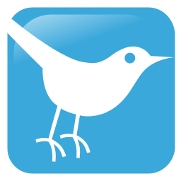 256px-Twitter_blue_bird_icon.svg