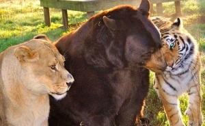 600154_10152690792345088_493856144_n