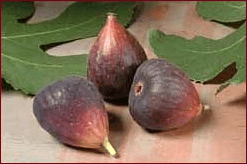 fig_1
