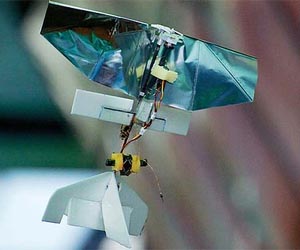 uav-delfly-explorer-afp-lg