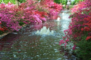 Kuykenhof and Delft, Holland May 2004 043