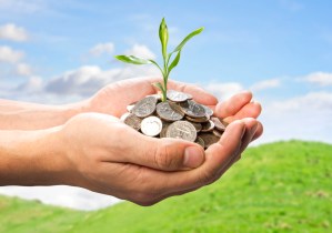 finance_tree_growth_45EA7BC7B6870